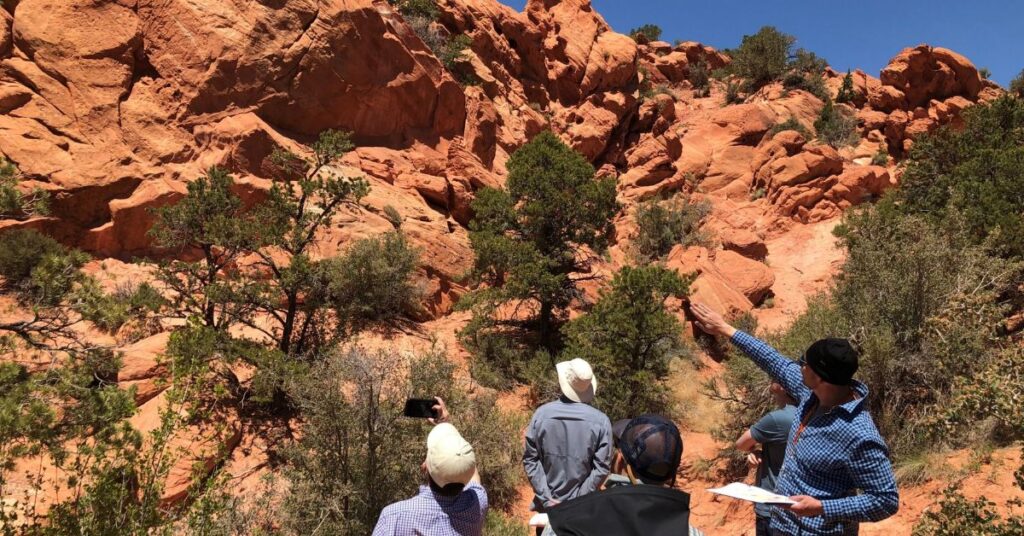 Members of the CvEEN and EGI groups looking at a Navajo outcrop near Cedar City, UT.